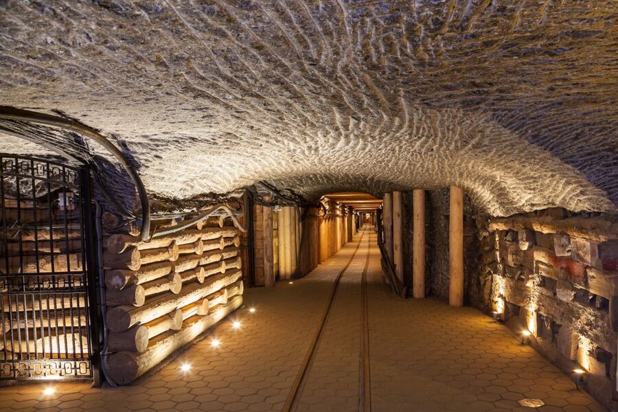 From Krakow: Auschwitz and Wieliczka Salt Mine Full-Day Trip - Is $30 good value?