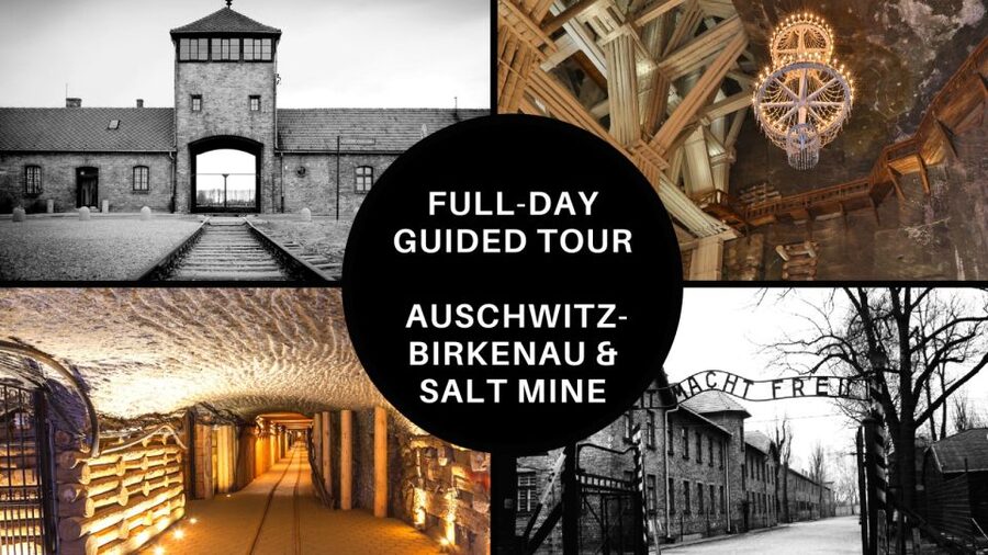 From Krakow: Auschwitz Birkenau and Salt Mine Guided Tour - Two very different places, one demanding day