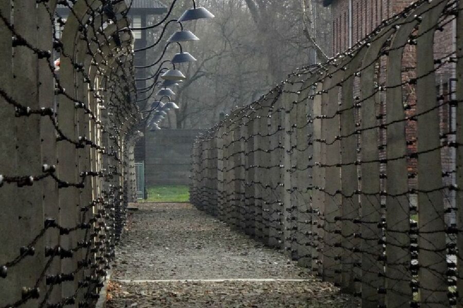 From Krakow: Auschwitz Birkenau and Salt Mine Guided Tour - Who should book this Krakow day trip