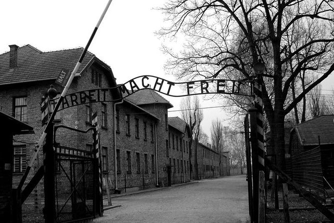 From Krakow: Auschwitz-Birkenau and Salt Mine with Private Transfer - Private driver, shared site tours