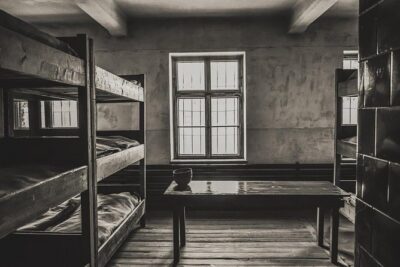 Auschwitz-Birkenau and Salt Mine with Private Transfer