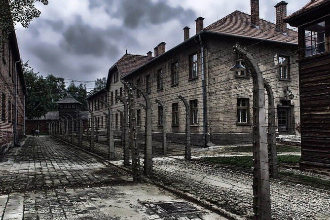 From Krakow: Auschwitz-Birkenau and Salt Mine with Private Transfer - Who will get the most from this Krakow tour?