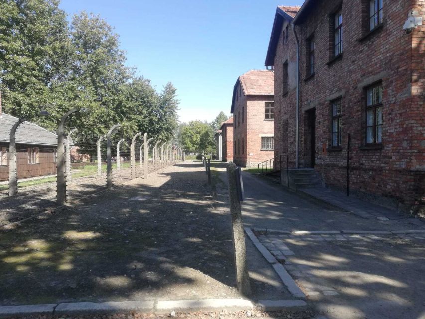 From Krakow: Auschwitz-Birkenau and Self-Guided Day Tour - Is $21 good value?