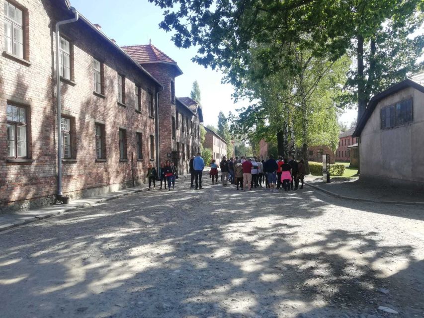 From Krakow: Auschwitz-Birkenau and Self-Guided Day Tour - Timing, comfort, and who should book