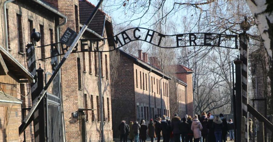 From Krakow: Auschwitz-Birkenau and Self-Guided Day Tour - The cafe stop and the ticket wait