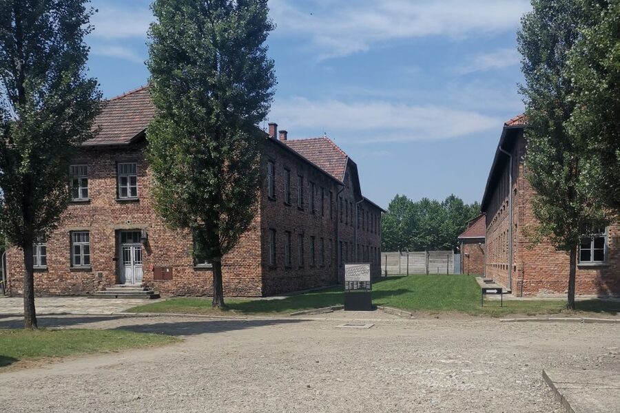 From Krakow: Auschwitz-Birkenau Camp Complex Guided Day Trip - Why this visit matters beyond the famous gate