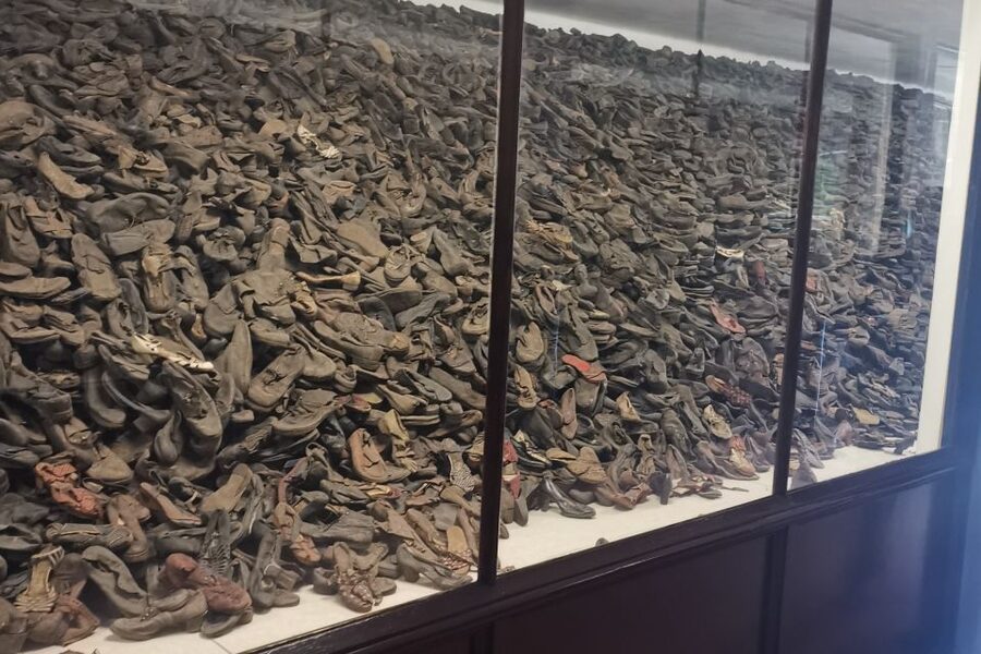From Krakow: Auschwitz-Birkenau Camp Complex Guided Day Trip - Auschwitz I and the prisoner blocks
