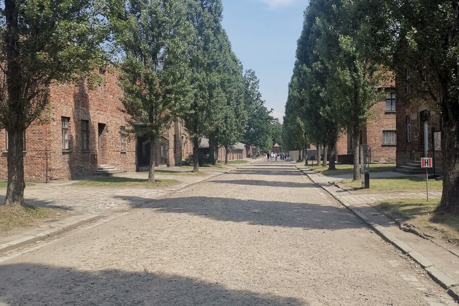 From Krakow: Auschwitz-Birkenau Camp Complex Guided Day Trip - Birkenau and the scale of the camp system