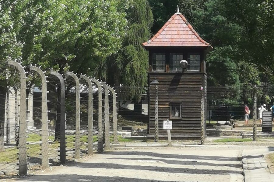 From Krakow: Auschwitz-Birkenau Camp Complex Guided Day Trip - The Monowitz question
