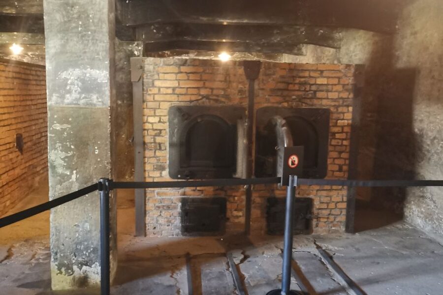 From Krakow: Auschwitz-Birkenau Camp Complex Guided Day Trip - An Italian-language tour with practical support