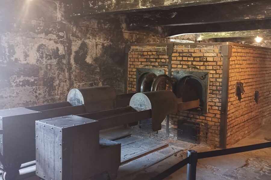 From Krakow: Auschwitz-Birkenau Camp Complex Guided Day Trip - Is $83 a fair price?