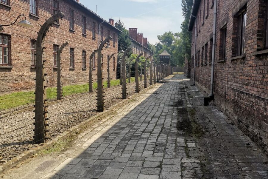 From Krakow: Auschwitz-Birkenau Camp Complex Guided Day Trip - Who should book this experience?