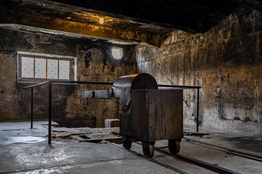 From Krakow: Auschwitz-Birkenau Full-Day Guided Tour - Who will find this tour worthwhile?
