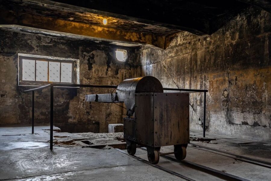 From Krakow: Auschwitz-Birkenau Full-Day Tour - Why this Auschwitz visit matters