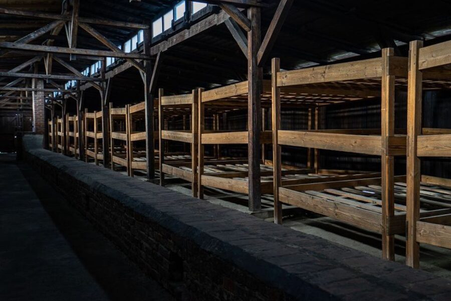 From Krakow: Auschwitz-Birkenau Full-Day Tour - The exhibits and the human cost