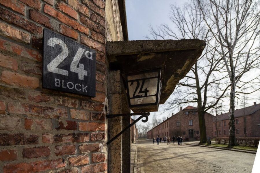 From Krakow: Auschwitz-Birkenau Full-Day Tour - Birkenau and the scale of the camp