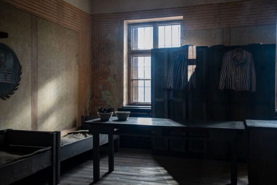 From Krakow: Auschwitz-Birkenau Full-Day Tour - The guide and the tone of the day