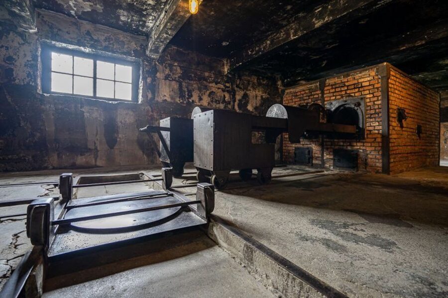 From Krakow: Auschwitz-Birkenau Full-Day Tour - Who should book this experience?