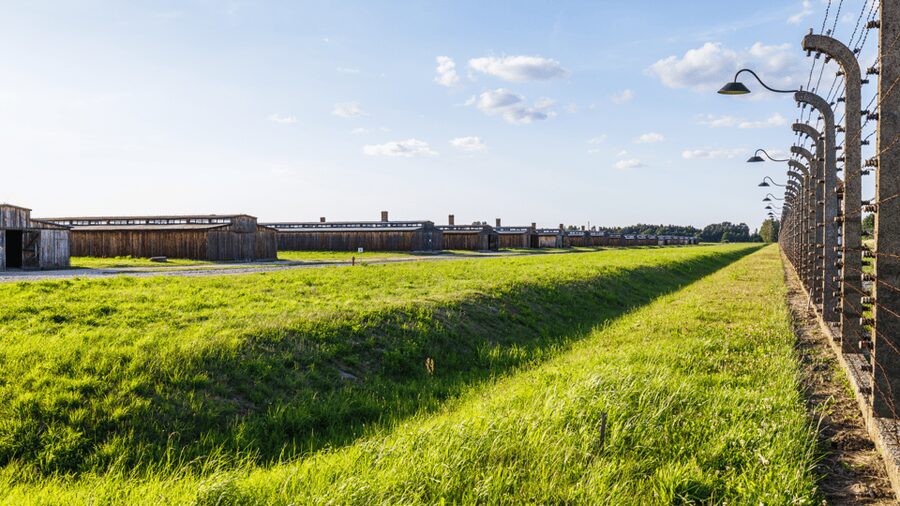 From Krakow: Auschwitz-Birkenau Guided Tour Guaranteed Time - Should you book it?