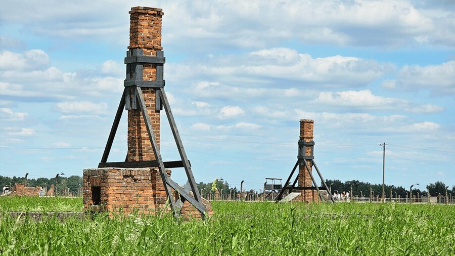 From Krakow: Auschwitz-Birkenau Guided Tour Guaranteed Time - Seeing the enormous scale at Birkenau