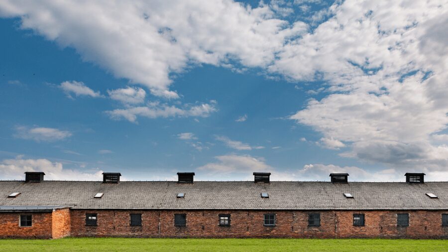 From Krakow: Auschwitz-Birkenau Guided Tour Guaranteed Time - What the guide adds to a difficult visit