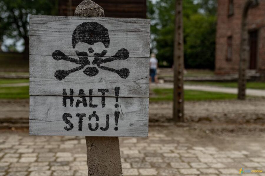 From Krakow: Auschwitz-Birkenau Guided Tour Guaranteed Time - Who should book this Auschwitz tour?