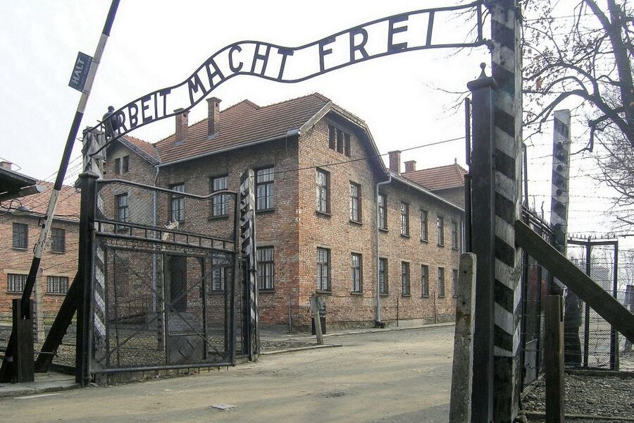 From Krakow: Auschwitz-Birkenau Guided Tour & Hotel Pickup - How to prepare emotionally
