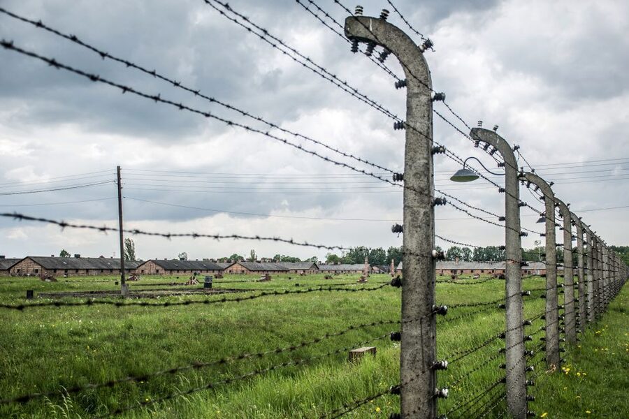 From Krakow: Auschwitz-Birkenau Guided Tour & Hotel Pickup - What makes the guiding valuable