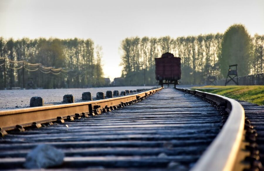 From Krakow: Auschwitz-Birkenau Guided Tour & Pickup - The short transfer to Birkenau