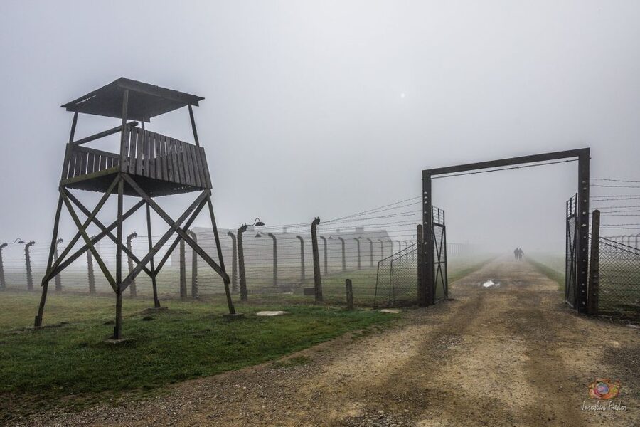 From Krakow: Auschwitz-Birkenau Guided Tour & Pickup - Languages, group size, and the role of the driver