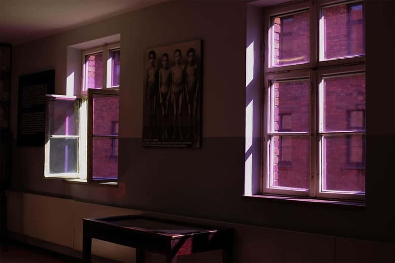 From Krakow: Auschwitz-Birkenau Guided Tour & Pickup Options - Key points to know before booking