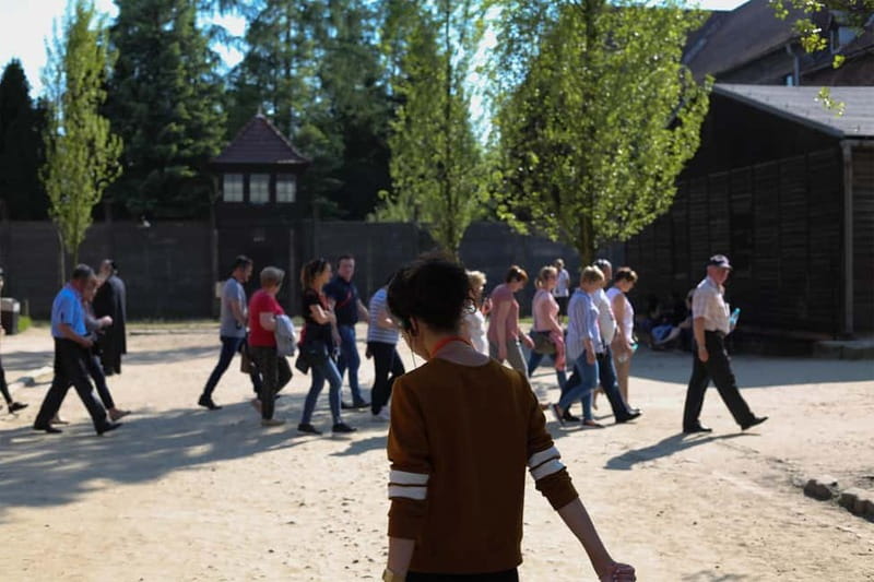 From Krakow: Auschwitz-Birkenau Guided Tour & Pickup Options - From Krakow to Oświęcim by air-conditioned van