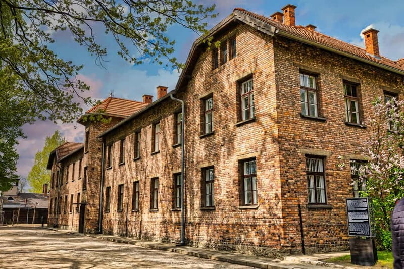 From Krakow: Auschwitz-Birkenau Guided Tour & Transport - Birkenau and the scale of the site