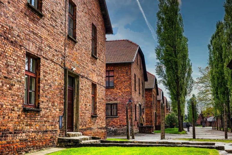 From Krakow: Auschwitz-Birkenau Guided Tour & Transport - The guide and the tone of the visit