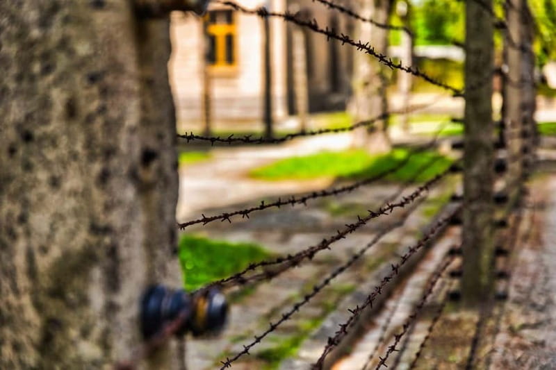From Krakow: Auschwitz-Birkenau Guided Tour & Transport - What the $93 price is buying