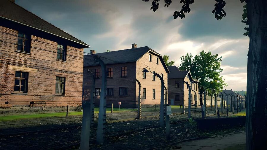 From Krakow: Auschwitz & Birkenau Guided Tour with Pick up - Who Should Book This Auschwitz Tour?