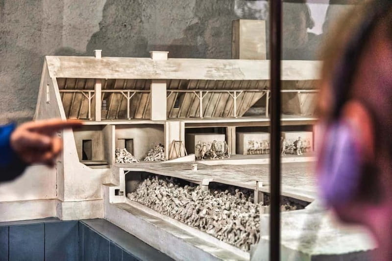From Krakow: Auschwitz-Birkenau Guided Tour with Transport - Who will appreciate this tour most?