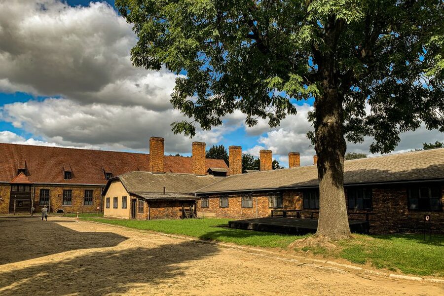 From Krakow: Auschwitz-Birkenau Memorial and Museum Tour - Should you book this Auschwitz tour?