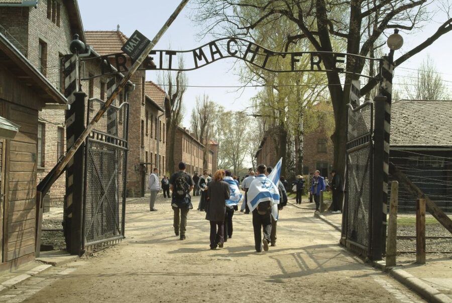 From Krakow: Auschwitz-Birkenau Memorial and Museum Tour - Why this Auschwitz tour matters