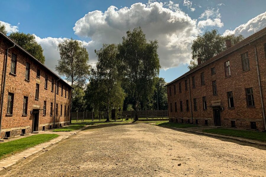 From Krakow: Auschwitz-Birkenau Memorial and Museum Tour - Auschwitz I, prison blocks and exhibitions