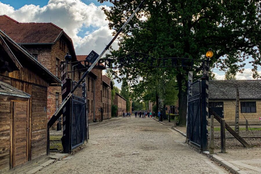 From Krakow: Auschwitz-Birkenau Memorial and Museum Tour - Birkenau and the scale of the killing center