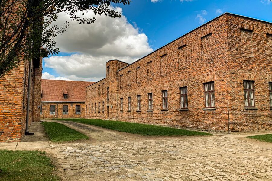From Krakow: Auschwitz-Birkenau Memorial and Museum Tour - Price and value at $81
