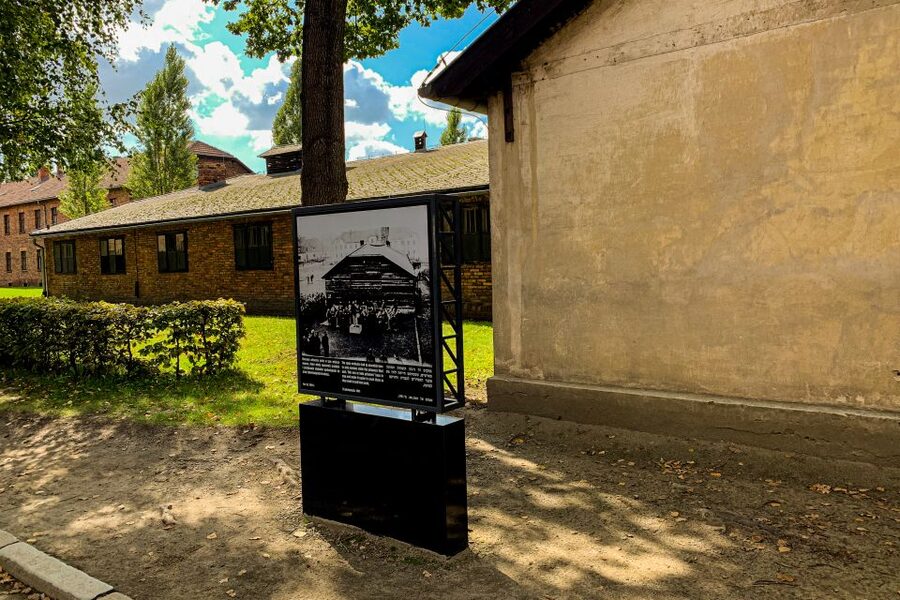 From Krakow: Auschwitz-Birkenau Memorial and Museum Tour - Who will get the most from this visit