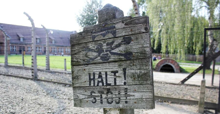 From Kraków: Auschwitz-Birkenau Memorial Guided Tour - Why this visit matters