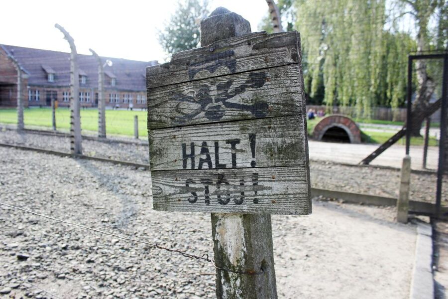From Kraków: Auschwitz-Birkenau Memorial Guided Tour - The Birkenau grounds and the long walk