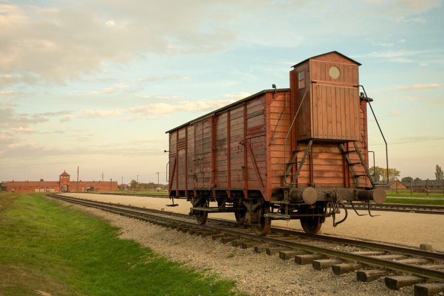 From Kraków: Auschwitz-Birkenau Memorial Guided Tour - Names, tickets, and clothing rules