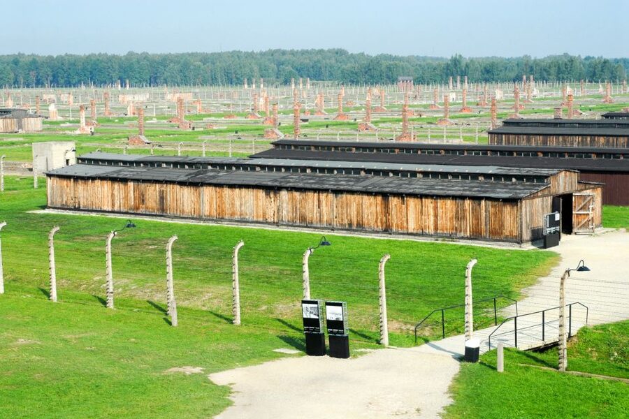 From Kraków: Auschwitz-Birkenau Memorial Guided Tour - Booking decision