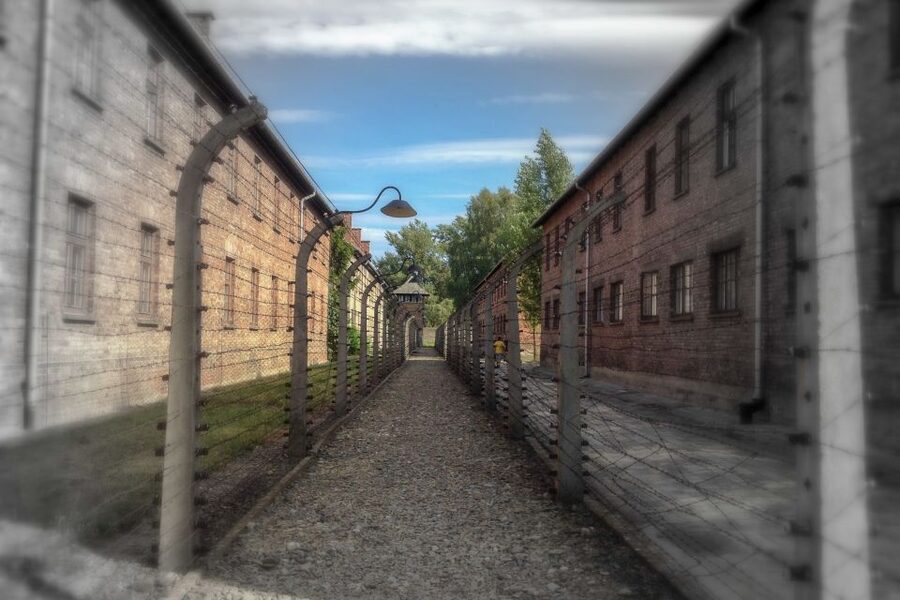 From Krakow: Auschwitz-Birkenau Private or Shared Tour - The short transfer to Birkenau