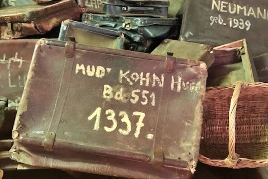 From Krakow: Auschwitz-Birkenau Private or Shared Tour - What your Krakow driver adds to the day