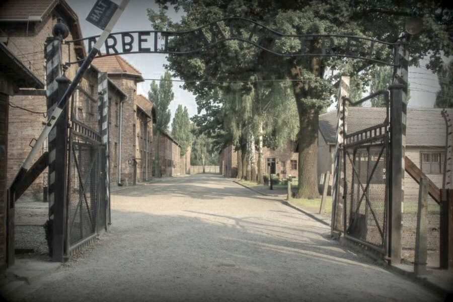 From Krakow: Auschwitz-Birkenau Private or Shared Tour - Timing, food, and the return to Krakow